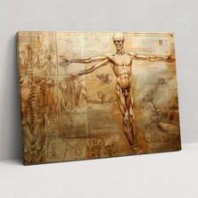 Popcas Anatomik Çalışma Kanvas Tablo - Leonardo Da Vinci Duvar Dekorasyonu