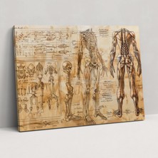 Popcas Leonardo Da Vinci Duvar Sanatı - Duvar Dekorasyonu ve Ev Dekorasyonu Için Kanvas Tablo Sanatı