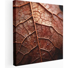 Popcas Tabiatın Damarları Kanvas Tablo - Yapraklar Yakın Çekim Damarlar ve Dokular Ev Dekorasyonu