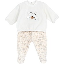 Takım /  Bluz + Tek Alt