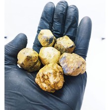 Garnet Doğaltaş Hafıza Güçlendirici