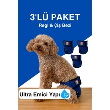 Dişi Köpekler Için Regl Külodu & Çiş Bezi