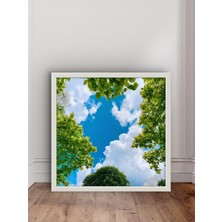 Doğanın Izleri LED Tablo – 60X60 cm | Sıva Üstü Montajlı, Tak-Çalıştır Sistem, Arapuarlı