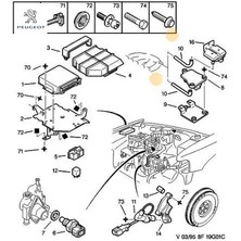 Hava Hortumu      Prt//peugeot Peugeot 5953.06