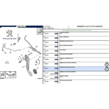Debriyaj Alt Merkez 508-C5-TEPEE Peugeot    Cıtroen, Peugeot 2182.J4