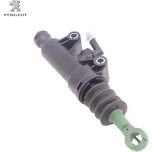 Debriyaj Üst Merkez Expert Tepee DW10TED