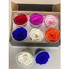 Şoklanmış 6'lı Karışık Xl Solmayan Gül