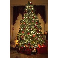 Elrond Yılbaşı Ağacı Vilya 2022 Luxury Series 250 cm Yeşil Renk Demir Ayaklı 1000 Dal Çam Ağacı