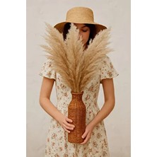 Hidden Botanics Kuru Çiçek Pampas 8'li Büyük Demet - Açık Krem Dekoratif Vazo Çiçeği