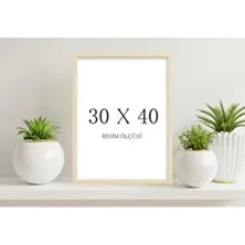 Ahşap Beyaz Renk 30X40CM 1 Adet Boş Çerçeve