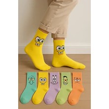 çorapkolik 5'li Desenli Kolej Çorap Seti Pamuk Polyester Esnek Düz Desenli Kadın Çoraplar