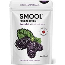 Freeze Dried Karadut (Dondurularak Kurutulmuş) 25 gr Sağlıklı Atıştırmalık Freeze Dry Blackmulberry
