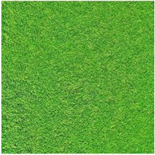 Açık Yeşil Mimari Maketler Için Hazır Çim Kaplama, 33X41 cm