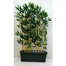 10'lu 100 cm Bambu Plastik Saksı