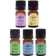 Lavanta  Okaliptus Nane Limon Çay Ağacı 5X5ML Uçucu Yağ Seti