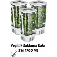 3'lü Yeşillik Saklama Kabı 1700 ml Uzun Ömürlü Tazelik