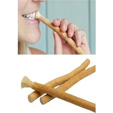 HYD Misfak Taze Misvak Diş Sağlığı Kalem Formunda 3 Adet Vakumlu Poşette Doğal Temizlik