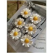 6’lı Papatya Model Dolap Süsü Magnet