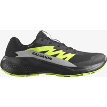 Salomon Alphaglıde Gore-Tex Erkek Koşu Ayakkabısı Black L47802000