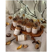 Mantar Kapaklı Cam Fanusta Kibrit