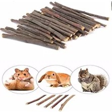 Pet Shoes Kemirgenler İçin Elma Ağacı Dalı 25 Adet 15CM Doğal Besin Kaynağı