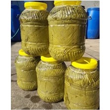 Asma Yapragı Salamura 5 kg
