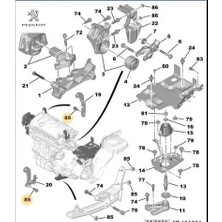 Aks Orta Bağlanti Vidasi Peugeot 6913.V1