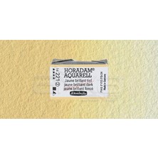 Schmincke Horadam Aquarell 1/1 Tablet 221 Brilliant Yellow Dark Seri 2