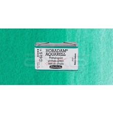 Schmincke Horadam Aquarell 1/1 Tablet 519 Phthalo Green Seri 1