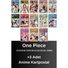 One Piece 2-3-4-5-6-7-8-9-10-11-12-13-14. Ciltler (13 Kitap) | Anime Kartpostallar