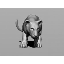 Byr Kaplan (Kaplan) (Plastik Aparattır!!!) 3D