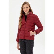 U.s. Polo Assn. Kadın Bordo Mont 50312005-VR014