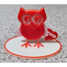 Byr Sevgililer Günü Baykuşu (Plastik Aparattır!!!) 3D