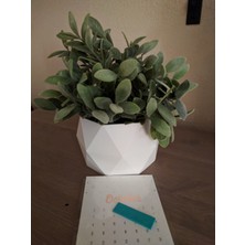 Byr Üçgen Sekizgen Konteyner (Sadece Plastik Aparattır!!!) 3D