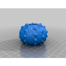 Byr Hava Bitkileri Veya Sulu Meyveler Için Deniz Kestanesi Evi (Sadece Plastik Aparattır!!!) 3D