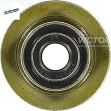 Supap Lastiği   Boxer-Transit V184/V347 07->