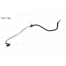 Westinghouse Borusu Ford Tourneo Connect Ford Transit Connect