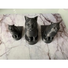Byr Cat Kapı Takozu Veya Kapı Durdurucu (Sadece Plastik Aparattır!!!) 3D