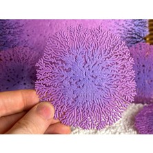 Byr Radyal Miselyum  3D