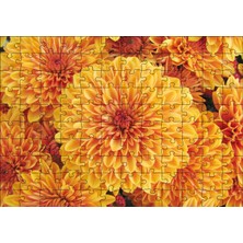 Cakapuzzle Turuncu Yıldız Çiçekleri 120 Parça Puzzle Yapboz Mdf (Ahşap)