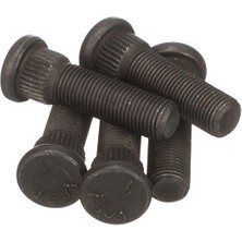 81816580-I Ön Bijon