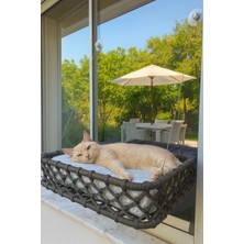 Kedi Cam Yatağı & Cam Önü Dinlenme Alanı Dekoratif Metal Ana Hat 15 kg Taşıma Kapastesi