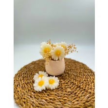 Yeni Vazoda Papatya 5'li Dekoratif Mum