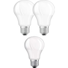 Ecolink 8W LED Ampul 6500K Beyaz E27