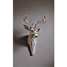 Beyaz Geyik Duvar Dekoru ve Askılık