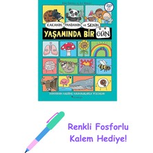 Kakanın Pandanın ve Senin Yaşamında Bir Gün + Renkli Fosforlu Kalem