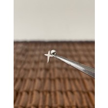 Aida Jewelss 316 L Cerrahi Çelik Kuzey Yıldızı Dudak Helix Tragus Kıkırdak Conch Piercing