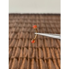 Aida Jewelss 316 L Cerrahi Çelik Doğal Taşlı Kaş Kulak Snug Helix Kıkırdak Daith Conch Rook Tragus Piercing