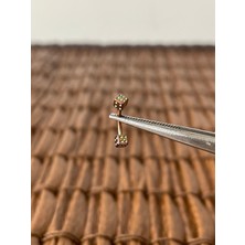 Aida Jewelss 316 L Cerrahi Çelik  Kaş Piercingi Kulak Snug Helix Kıkırdak Daith Conch Rook Tragus Piercing