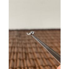 Aida Jewelss 316 L Cerrahi Çelik Kanatlı Melek Kalp Helix Tragus Kıkırdak Conch Piercingi